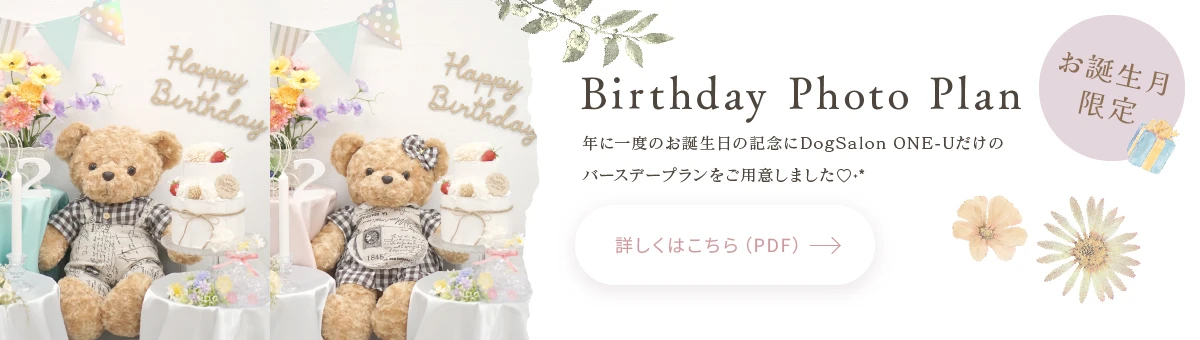 お誕生日月限定 Birthday Photo Plan