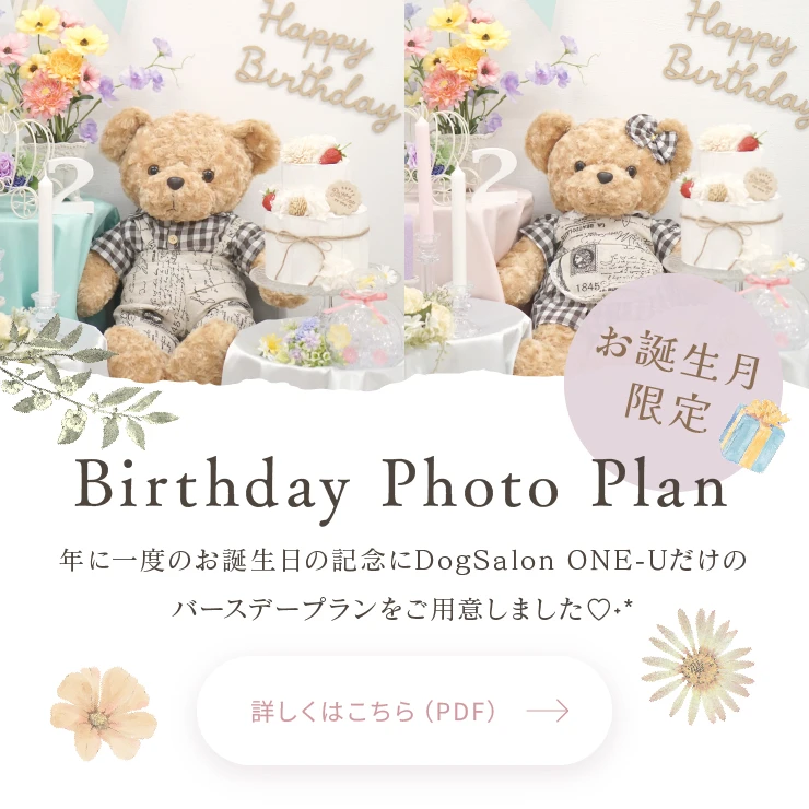 お誕生日月限定 Birthday Photo Plan